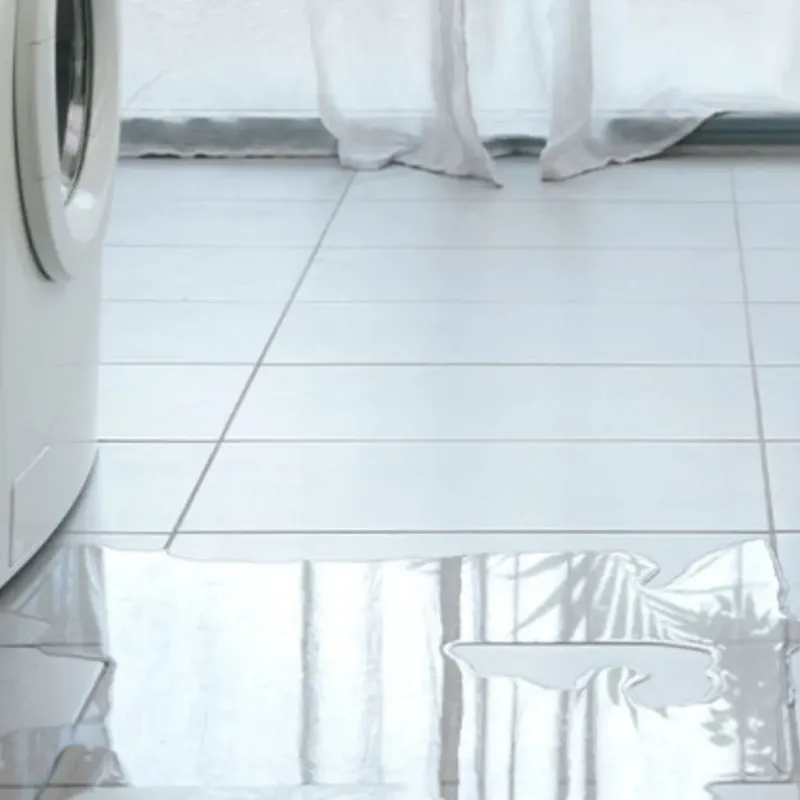 Appliance Leak Cleanup in Greenbush, ME