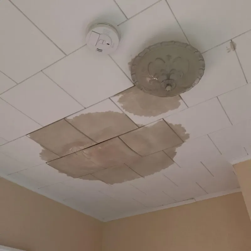 Ceiling Water Damage Repair in Greenbush, ME