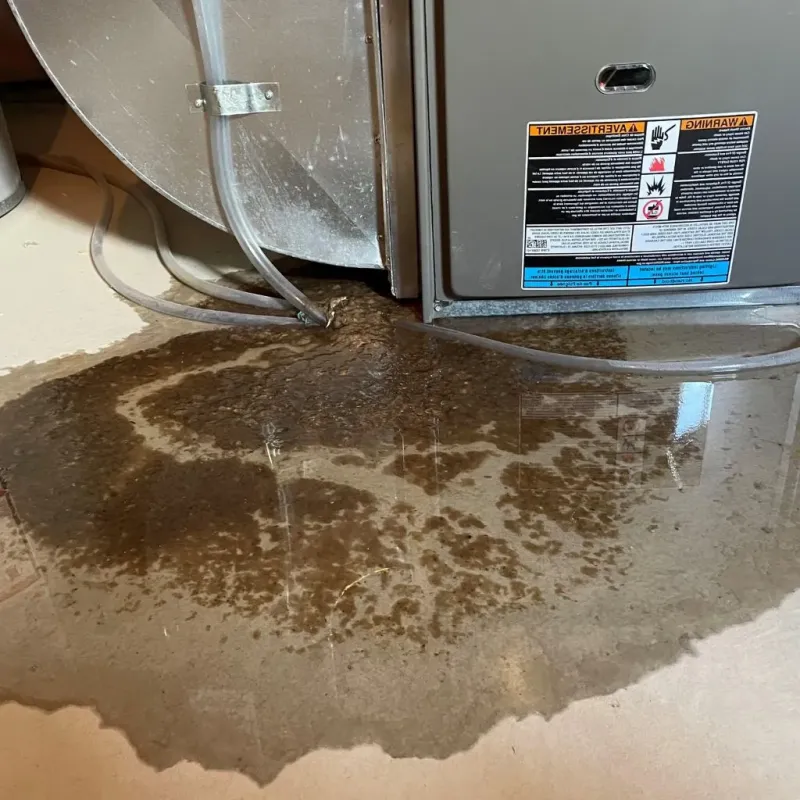 Pipe Burst and Leak Restoration in Greenbush, ME