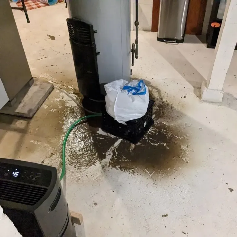 Sewage Backup Cleanup Service in Greenbush, ME